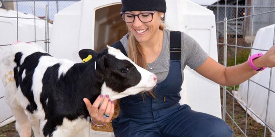 VMED graduate student with a calf