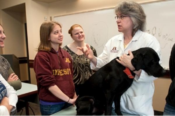 Professor teaching students with a dog