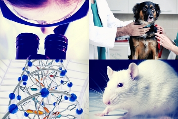 Group of images including a microscope, a dog, a protein structure and a rat