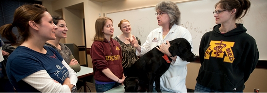 Professor teaching students with a dog