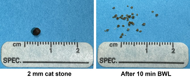 close-up of a 2mm cat stone before and after 10 minutes of BWL. the 2mm stone is now much smaller fragments