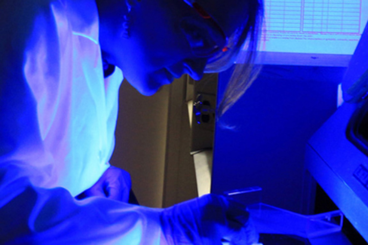 person in medical lab bathed in blue light as they work with samples