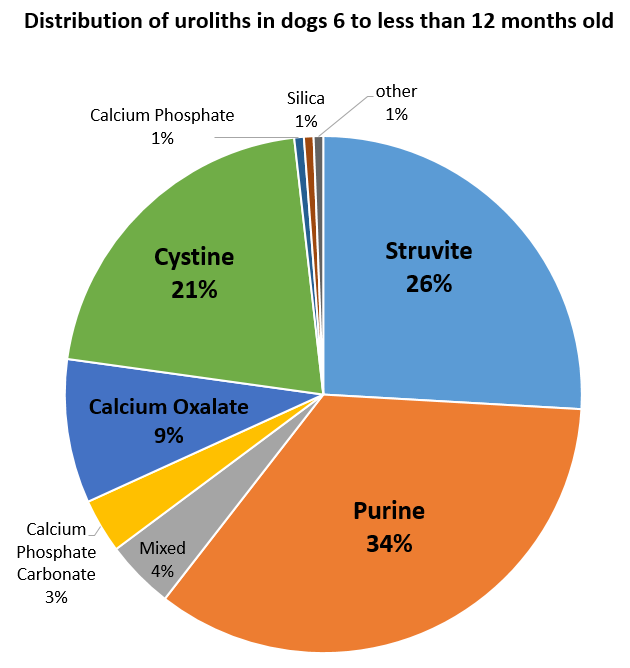 pie chart distribution of dogs 6 to less than 12 months. 