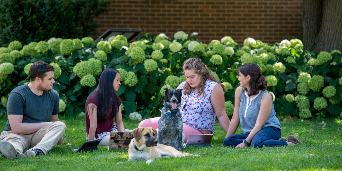 Four students sitting on a lawn with two dogs on the grass between them