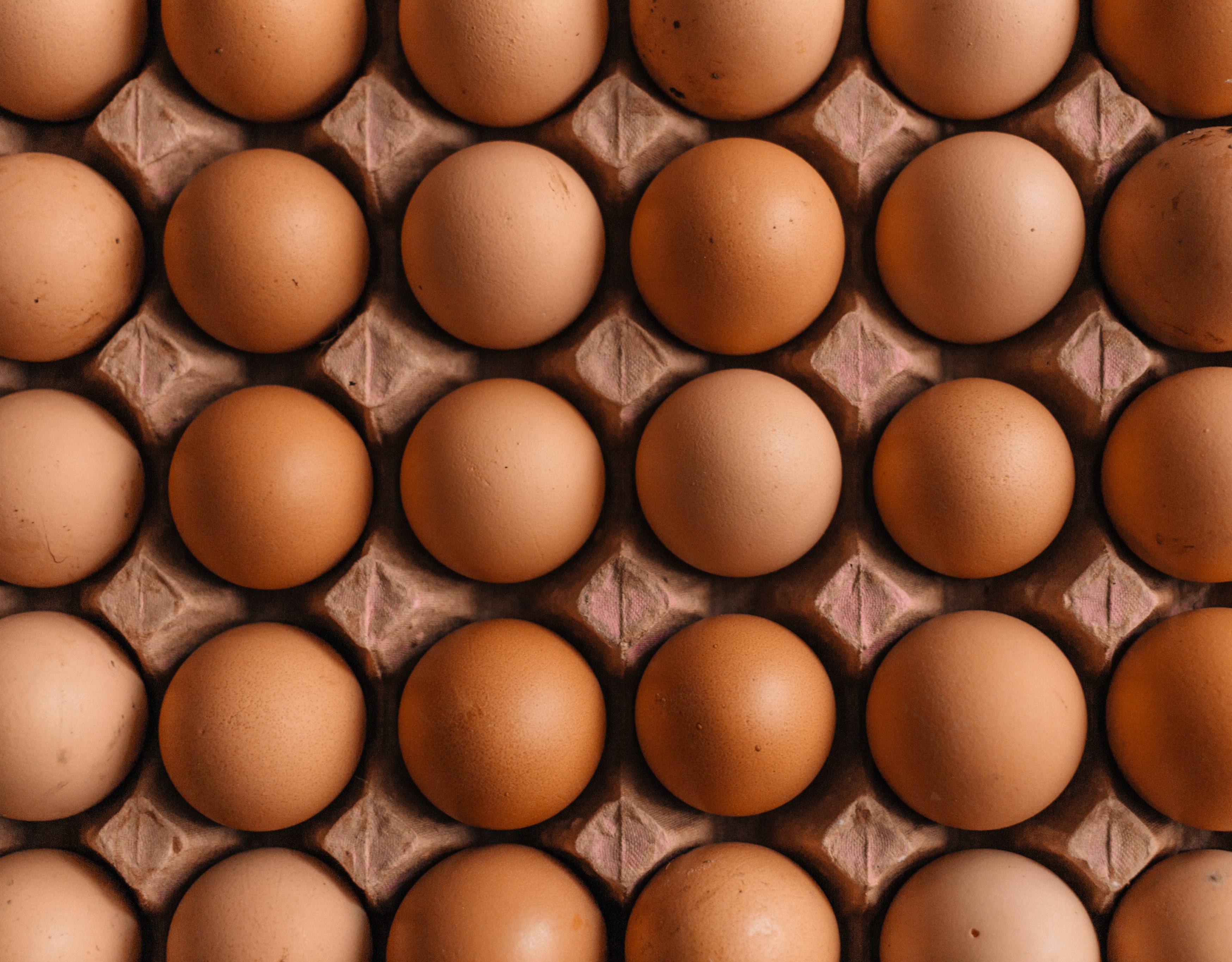 A closeup of a 5 x 5 carton of eggs as viewed from above