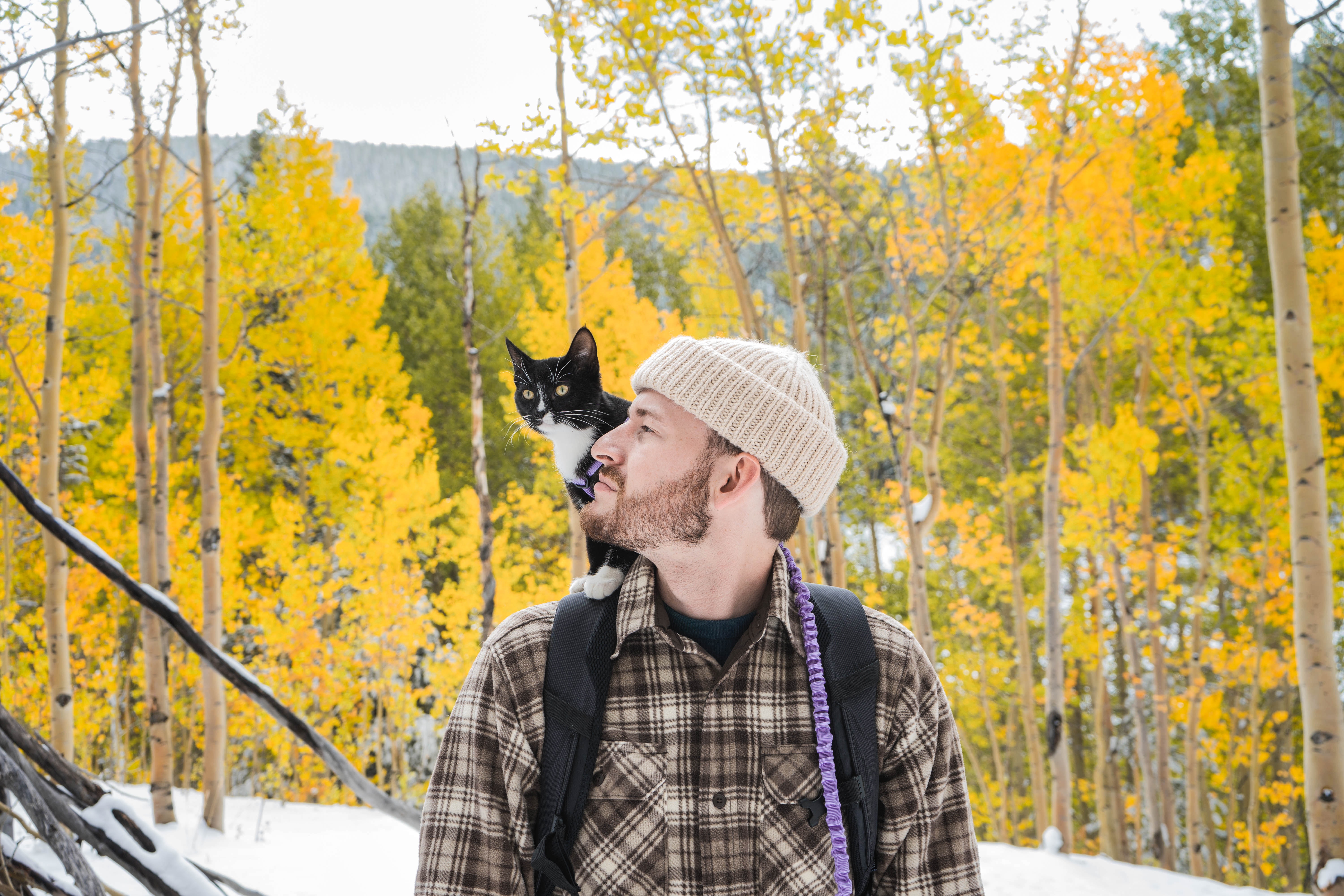 A man in a flannel shirt and a beanie looks at his black cat, who sits on his right shoulder. They are outside on a hike amongst a bunch of yellowing autumn trees. 