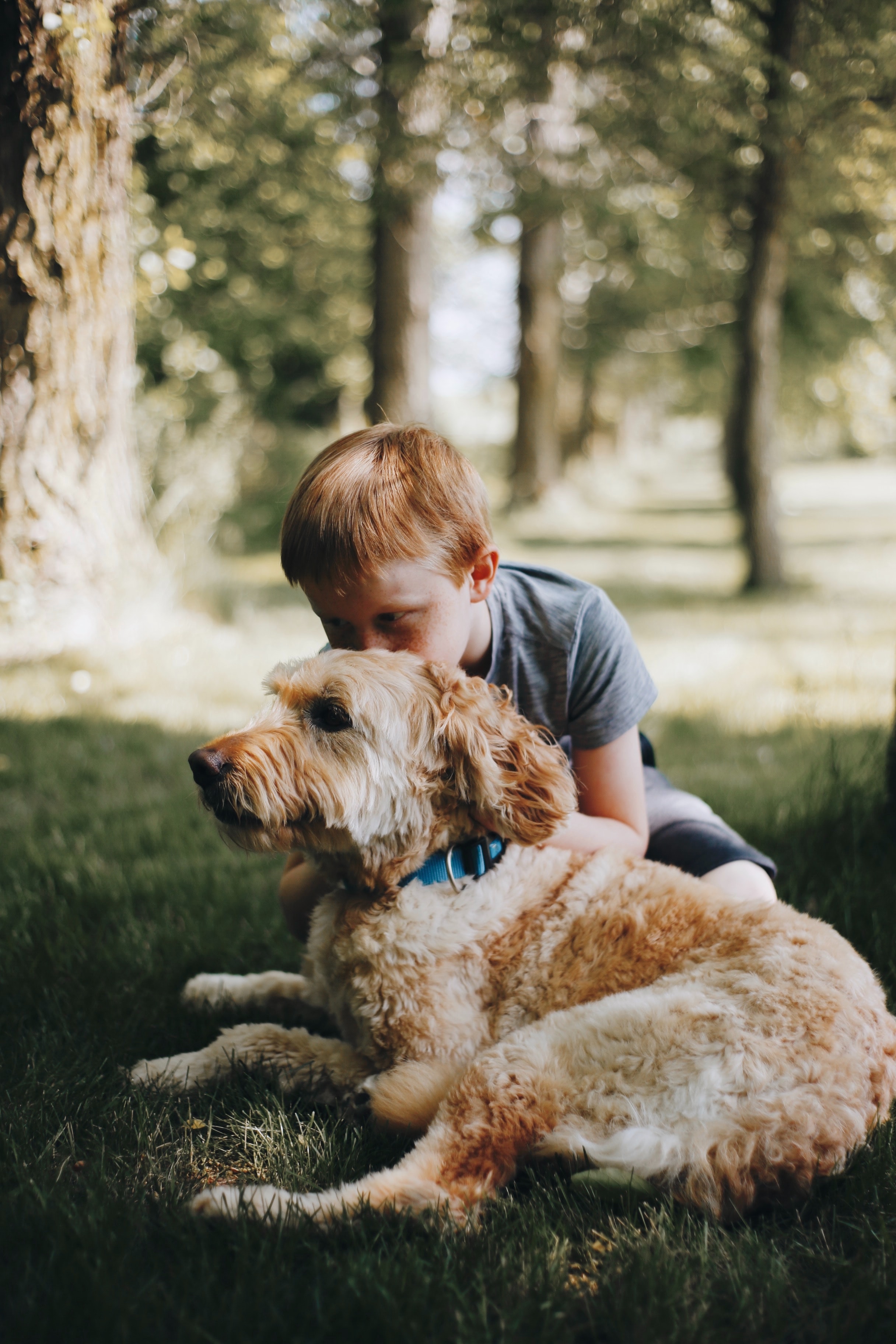 A red headed boy kisses the top of his dog&#039;s head.