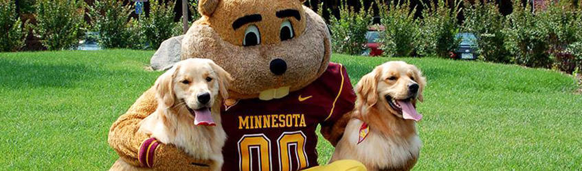Goldy with goldens outside the VMC