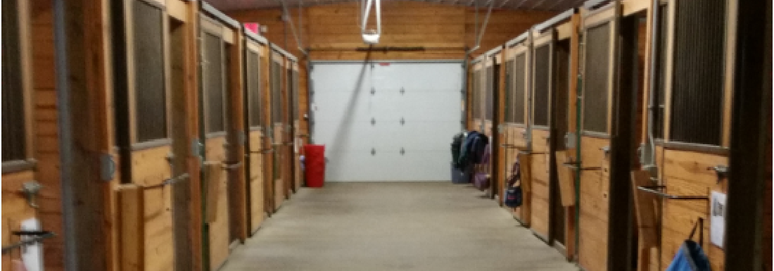 Interior of Dudley Barn Stalls at Leatherdale Equine Center