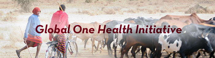 The words Global One Health Initiative over a photo of two cowherds in a dry, dusty landscape with their cows
