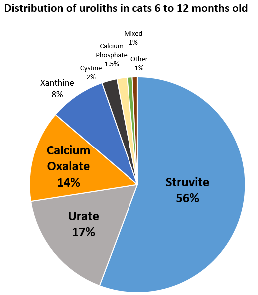 distribution of uroliths in cats 6 to less than 12 months