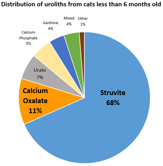 Distribution of cat stones in cats less than 6 months