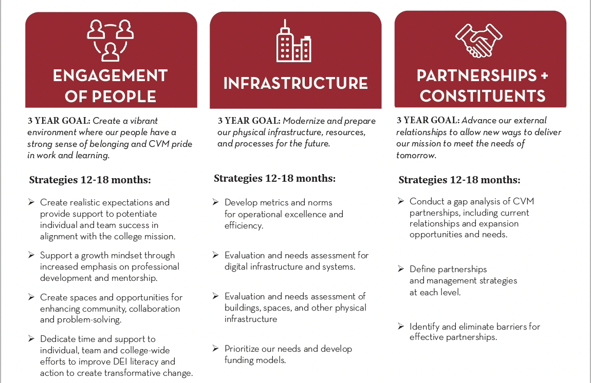 a portion of the strategic plan