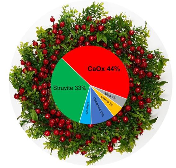 pie chart of dog stones from north pole AK; CaOx 44%, Struvite 33%, compound 10%, cystine 5%, silica 3%, other 5%