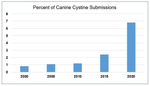 bar chart of the percent of canine cystine submissions by 5 year increments between 2000 and 2020 showing an large increase in submissions between 2015 and 2020