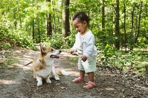 toddler with a dog on a forest path
