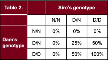Punnett square showing only sire/dam combinations where the parents are D/D or N/D can have a foal with a single-gene recessive disease