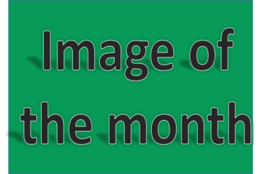 image of the month text