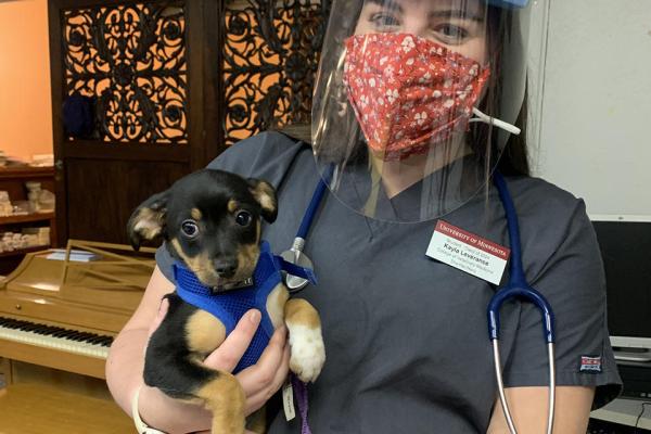 Student in PPE holding a puppy at a community clinic event