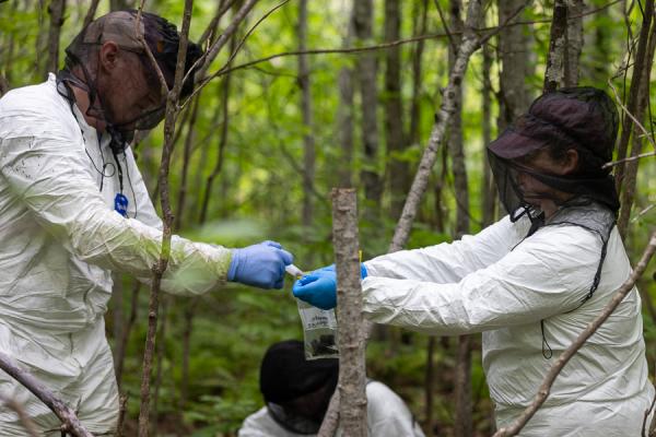 Two people in the woods wearing protective gear put a sample into a small bag