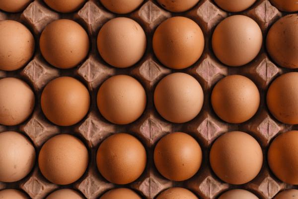A closeup of a 5 x 5 carton of eggs as viewed from above