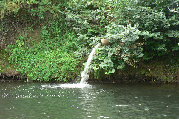 A pipe emerges horizontally from a deciduous embankment and discharges water runoff into a body of water (probably river)