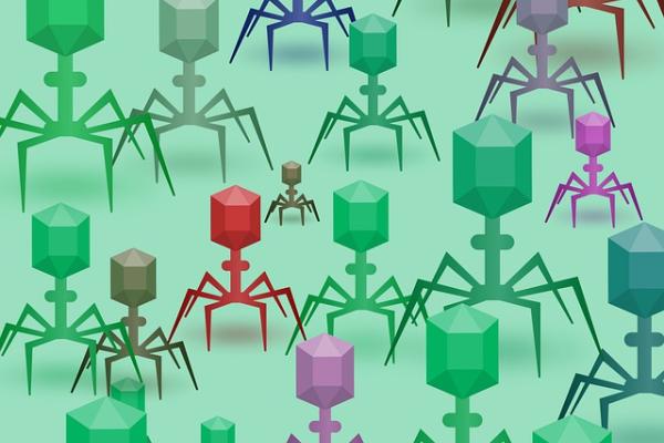 A series of illustrated, multicolored bacteriophage against a green backdrop
