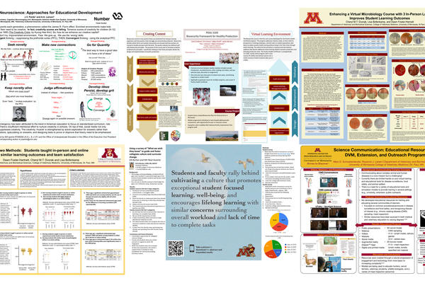 VBS 2021, CVM Education Day poster collage