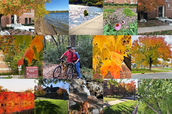 autumn photo collage