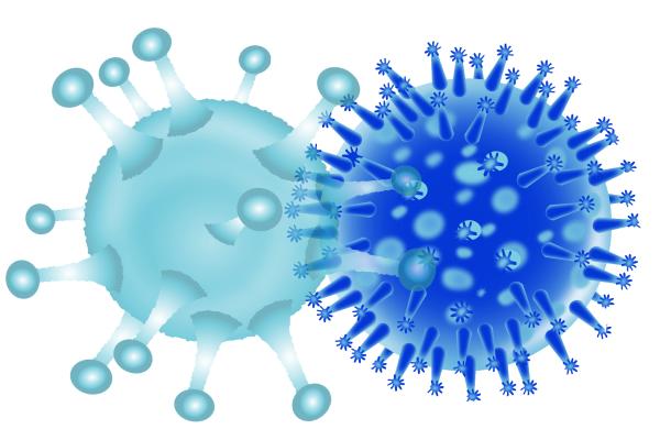 coronavirus and flu virus